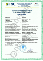 DVESLY CE Certificate